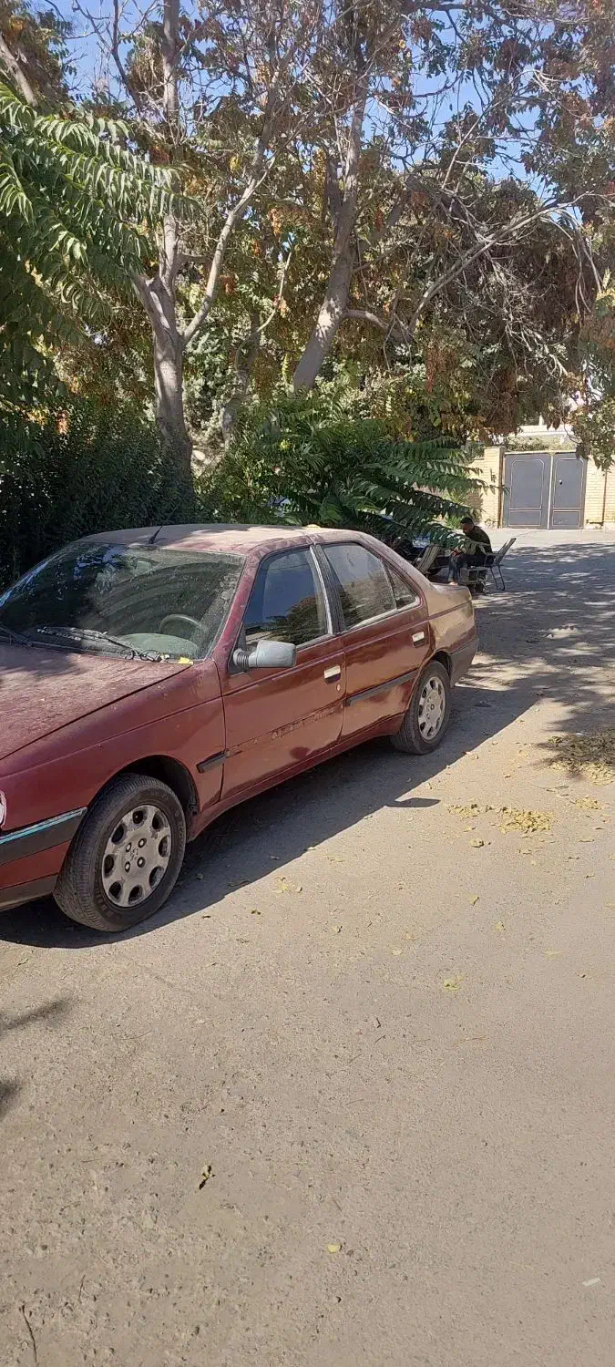 پژو 405 GLX - دوگانه سوز - 1381