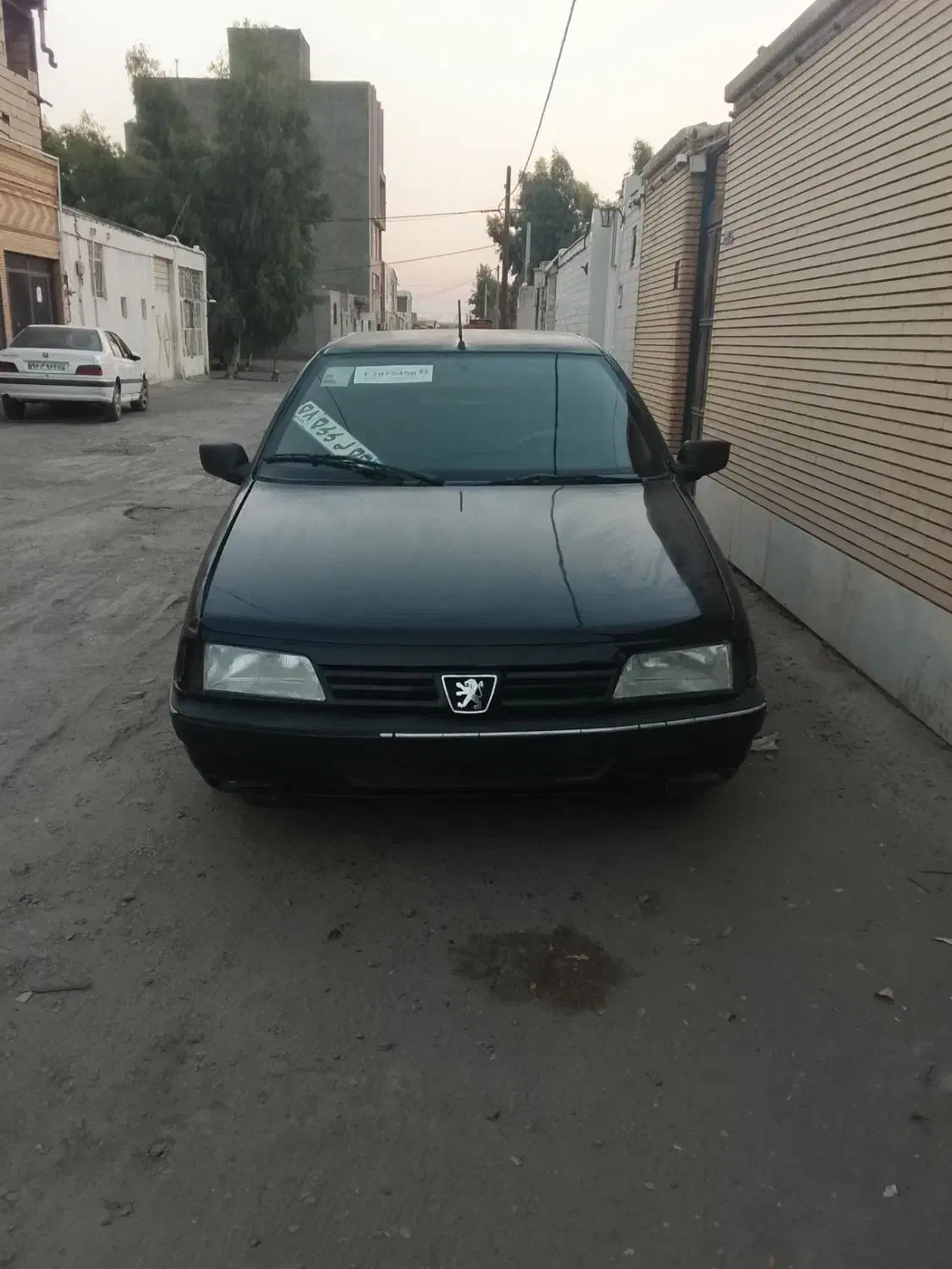 پژو 405 GLX - 1384