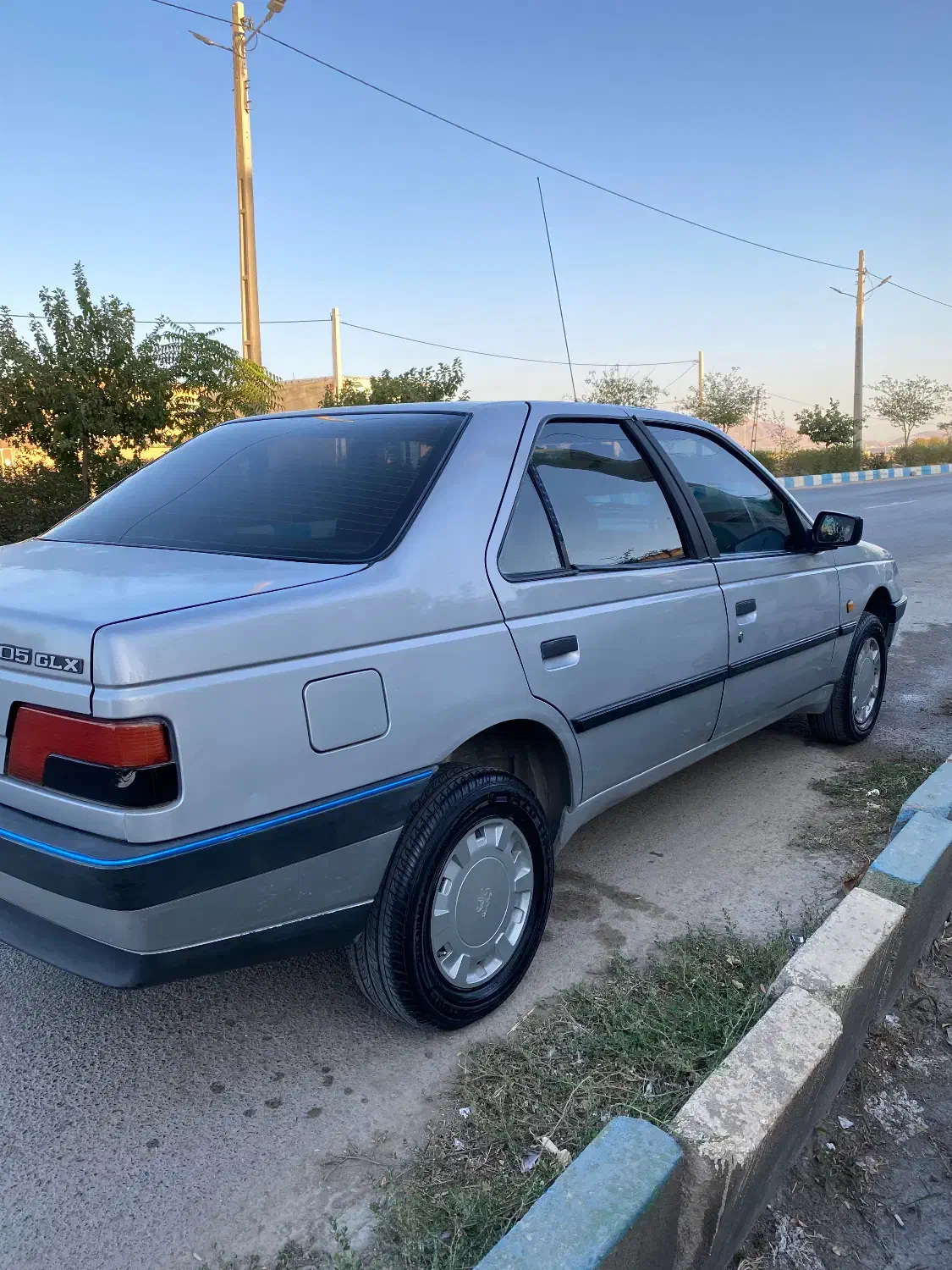 پژو 405 GLX - دوگانه سوز - 1394