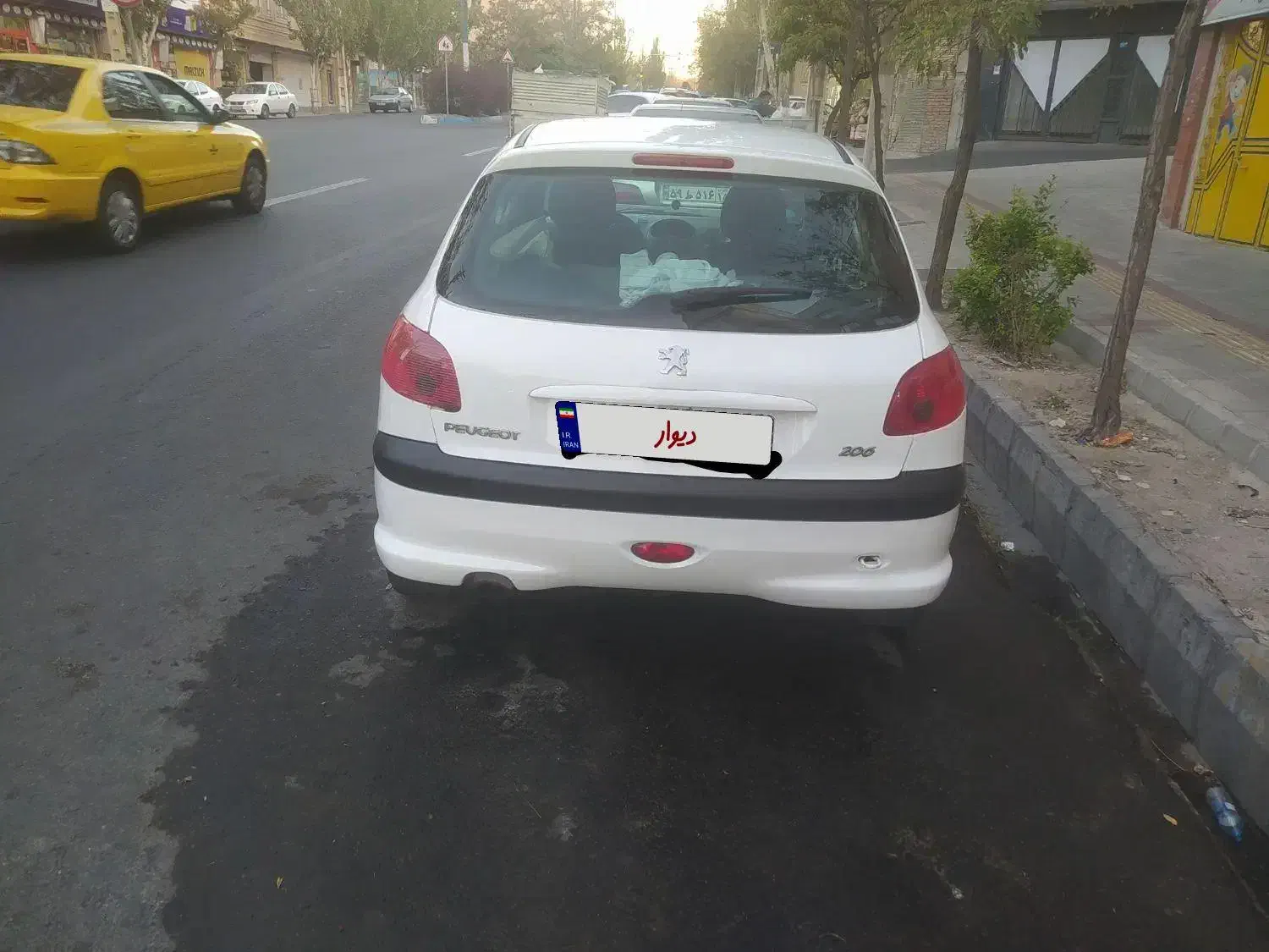 پژو 206 تیپ 3 - 1391