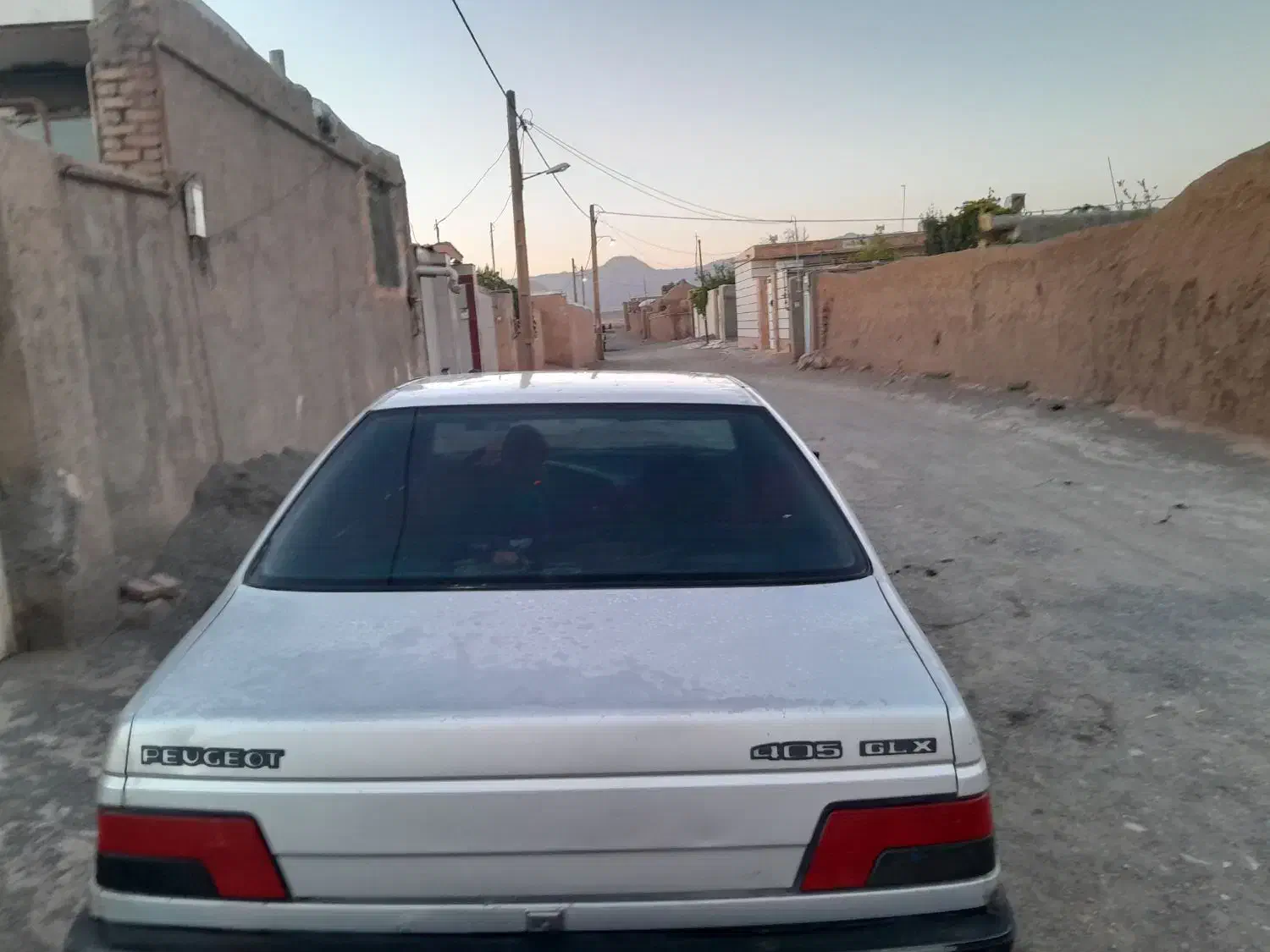 پژو 405 GLX - دوگانه سوز - 1388