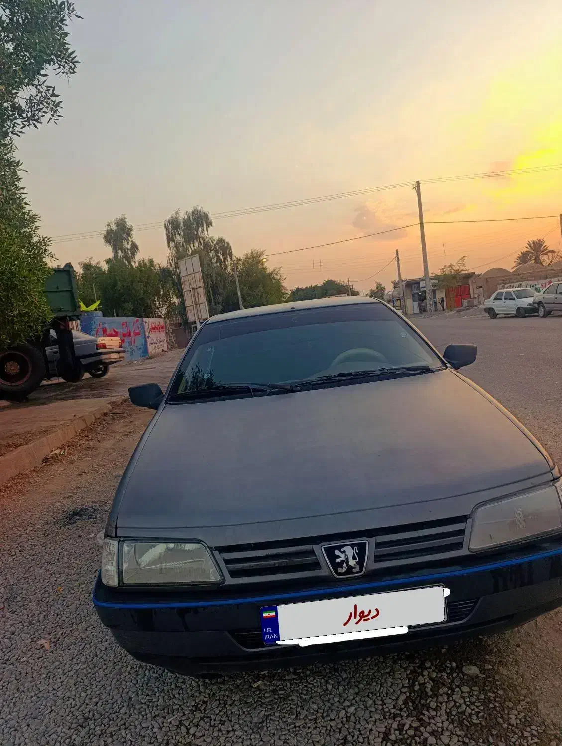 پژو 405 GLX - دوگانه سوز - 1392