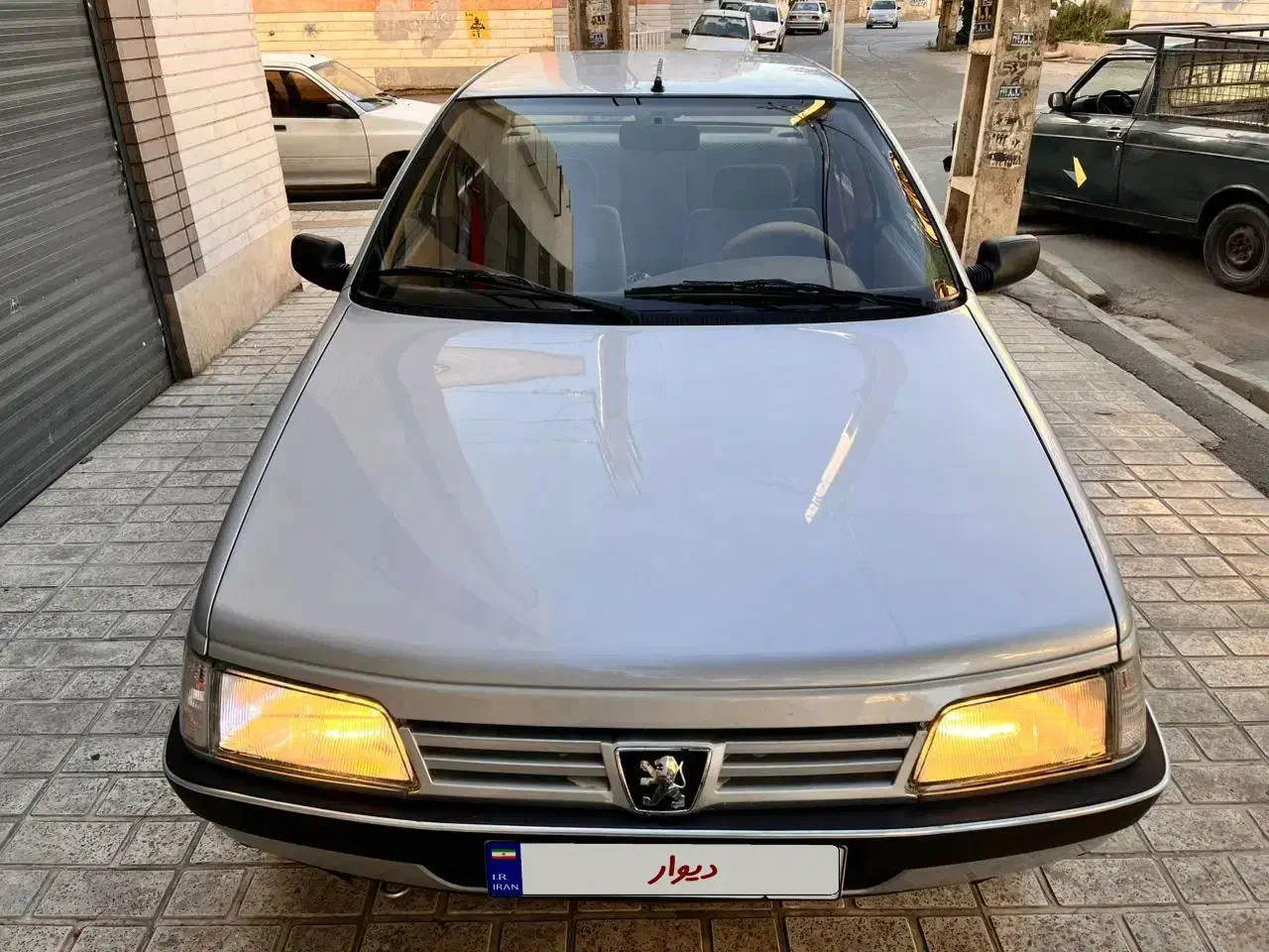 پژو 405 GLX - دوگانه سوز - 1391