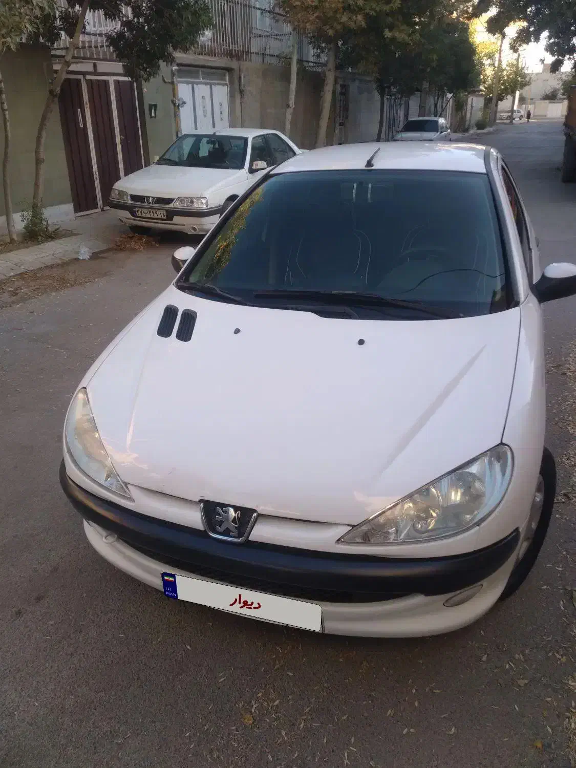 پژو ۲۰۶ صندوق دار v8 - 1399