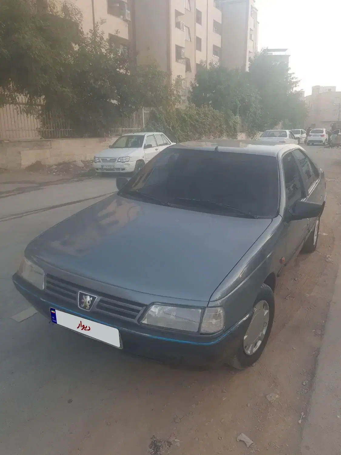 پژو 405 GLX - دوگانه سوز - 1390