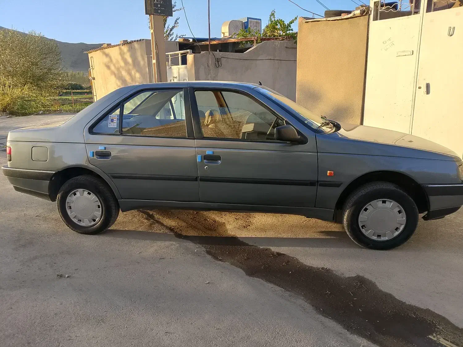 پژو 405 GLX - دوگانه سوز - 1392
