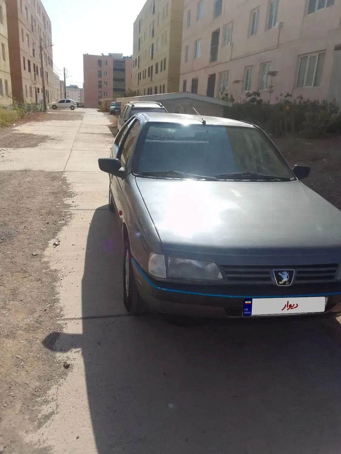 پژو 405 GLX - دوگانه سوز - 1391