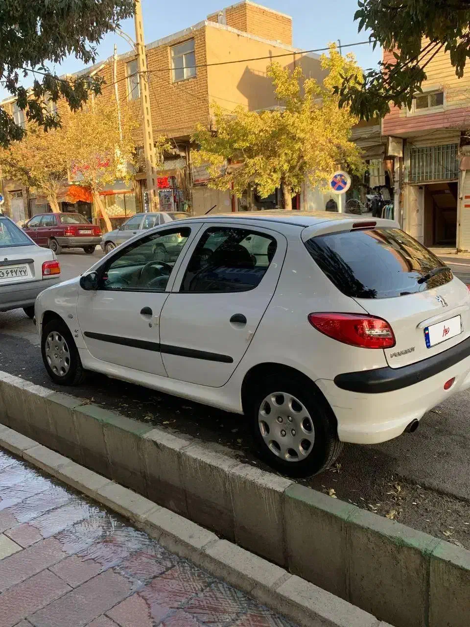 پژو 206 تیپ 5 - 1394