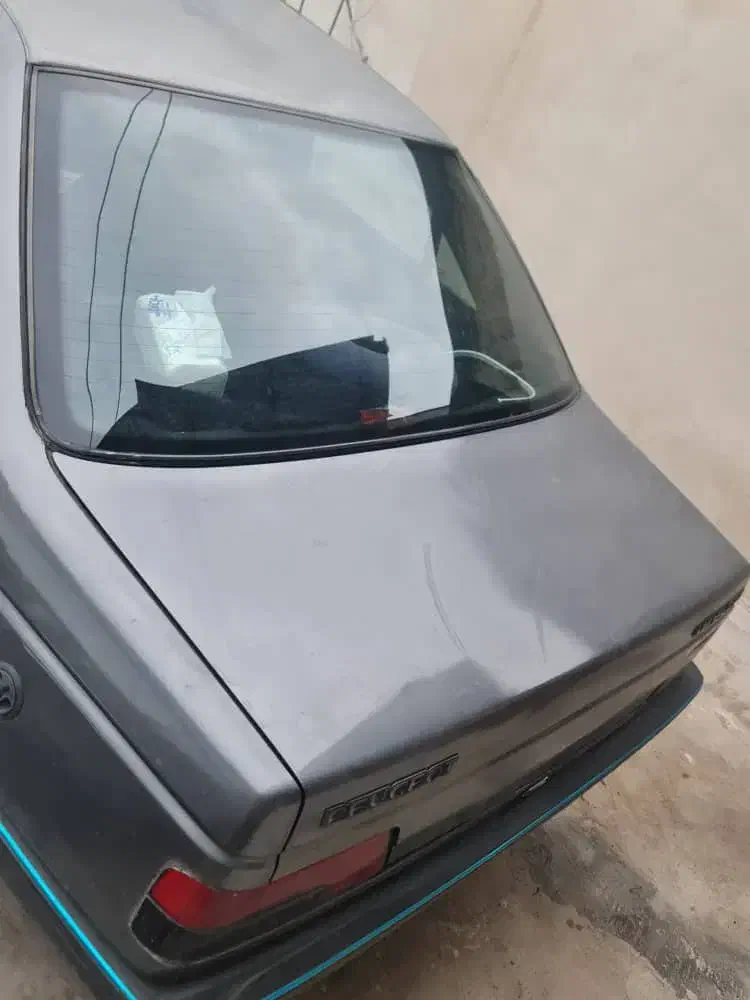 پژو 405 GLX - دوگانه سوز - 1389