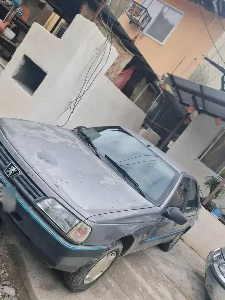 پژو 405 GLX - دوگانه سوز - 1389