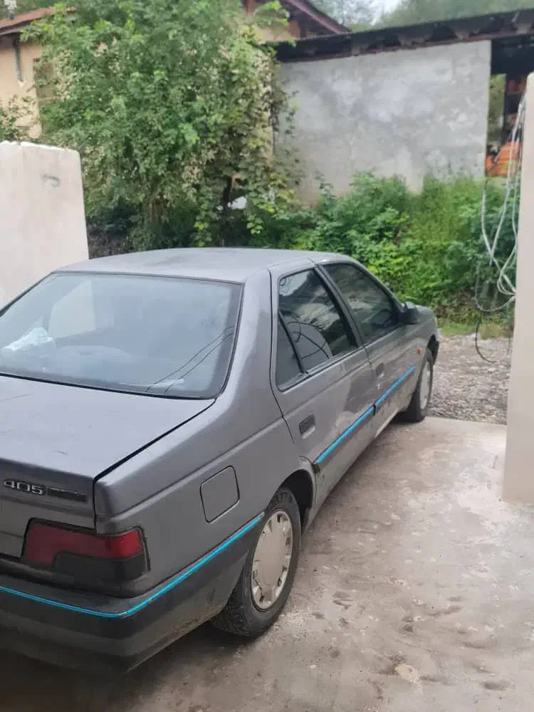 پژو 405 GLX - دوگانه سوز - 1389