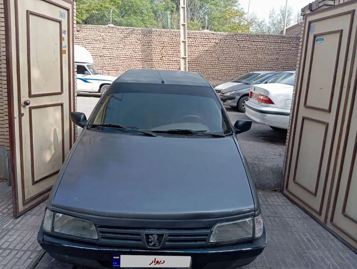 پژو 405 GLX - دوگانه سوز - 1391