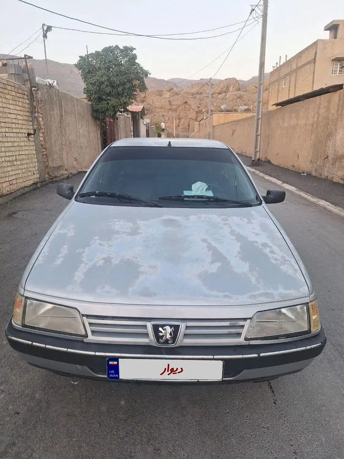 پژو 405 GLX - دوگانه سوز - 1389
