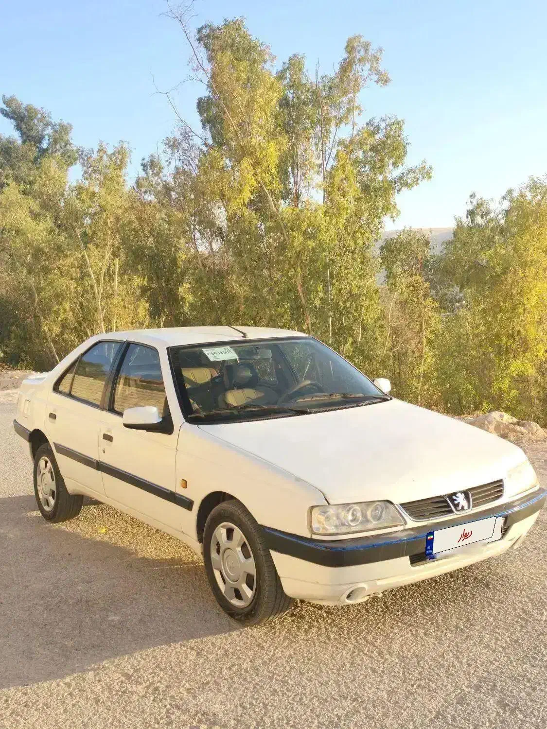 پژو 405 SLX دوگانه سوز XU7 - 1390