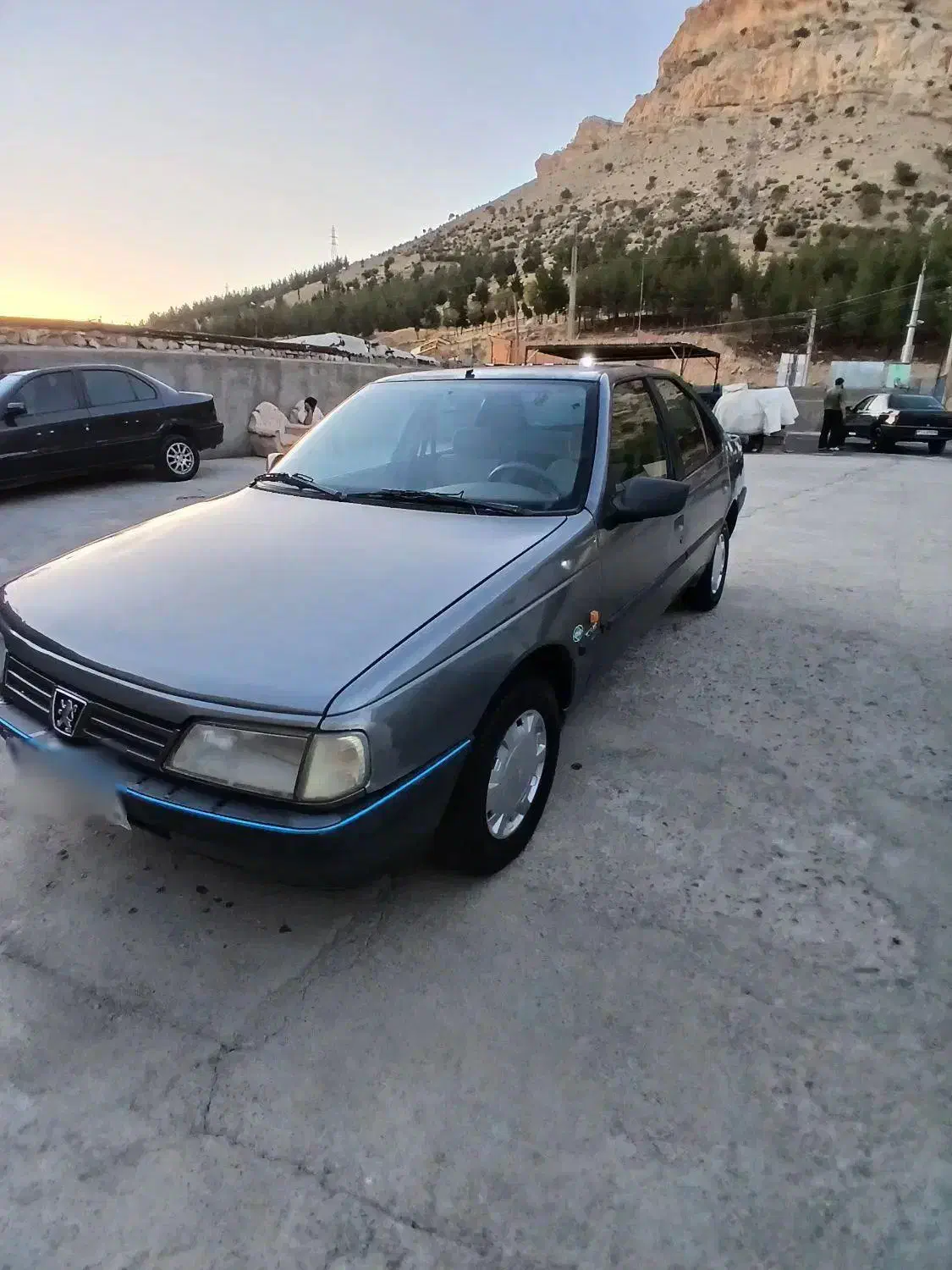پژو 405 GLX - دوگانه سوز - 1390