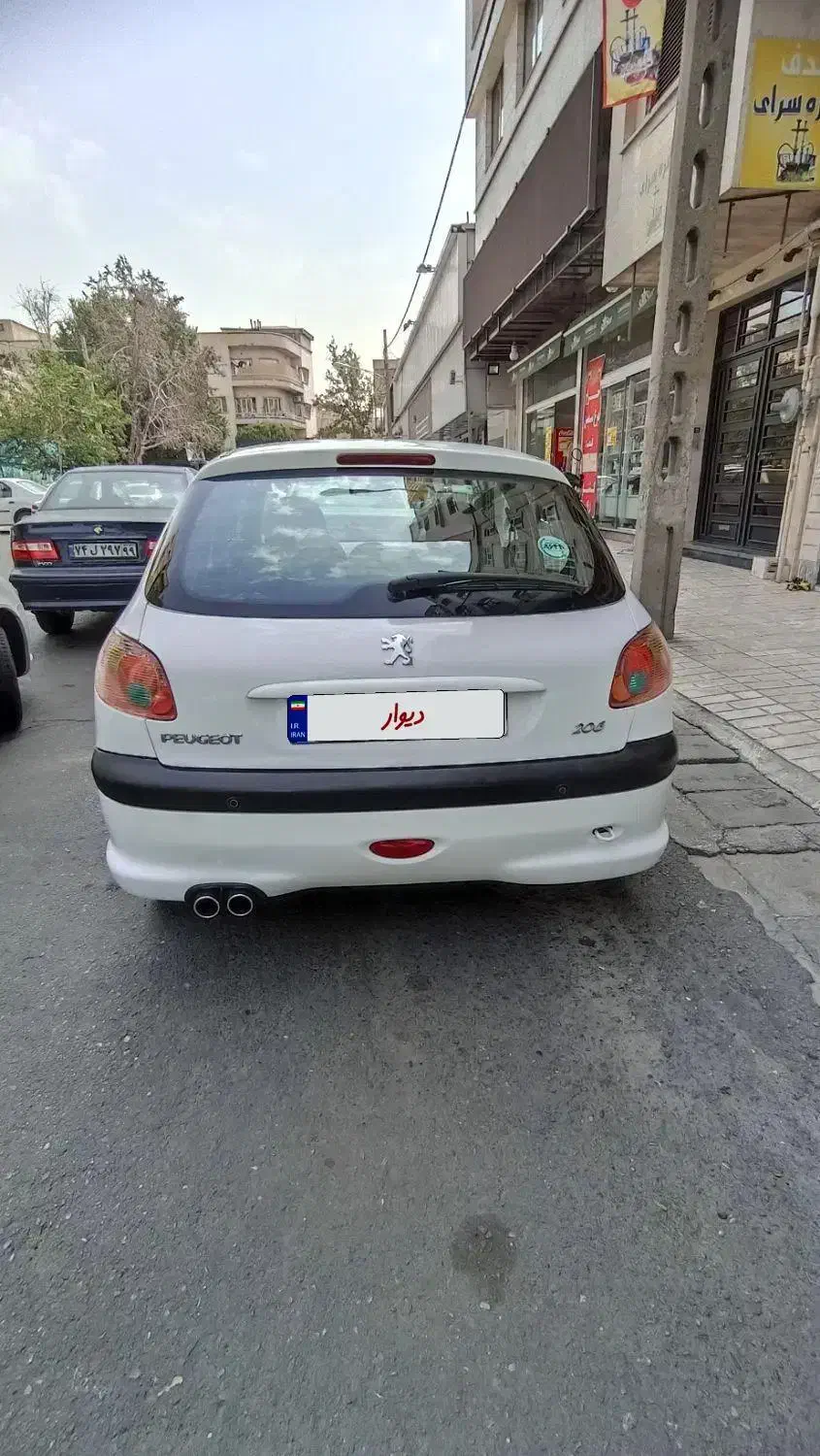 پژو 206 تیپ 5 - 1393