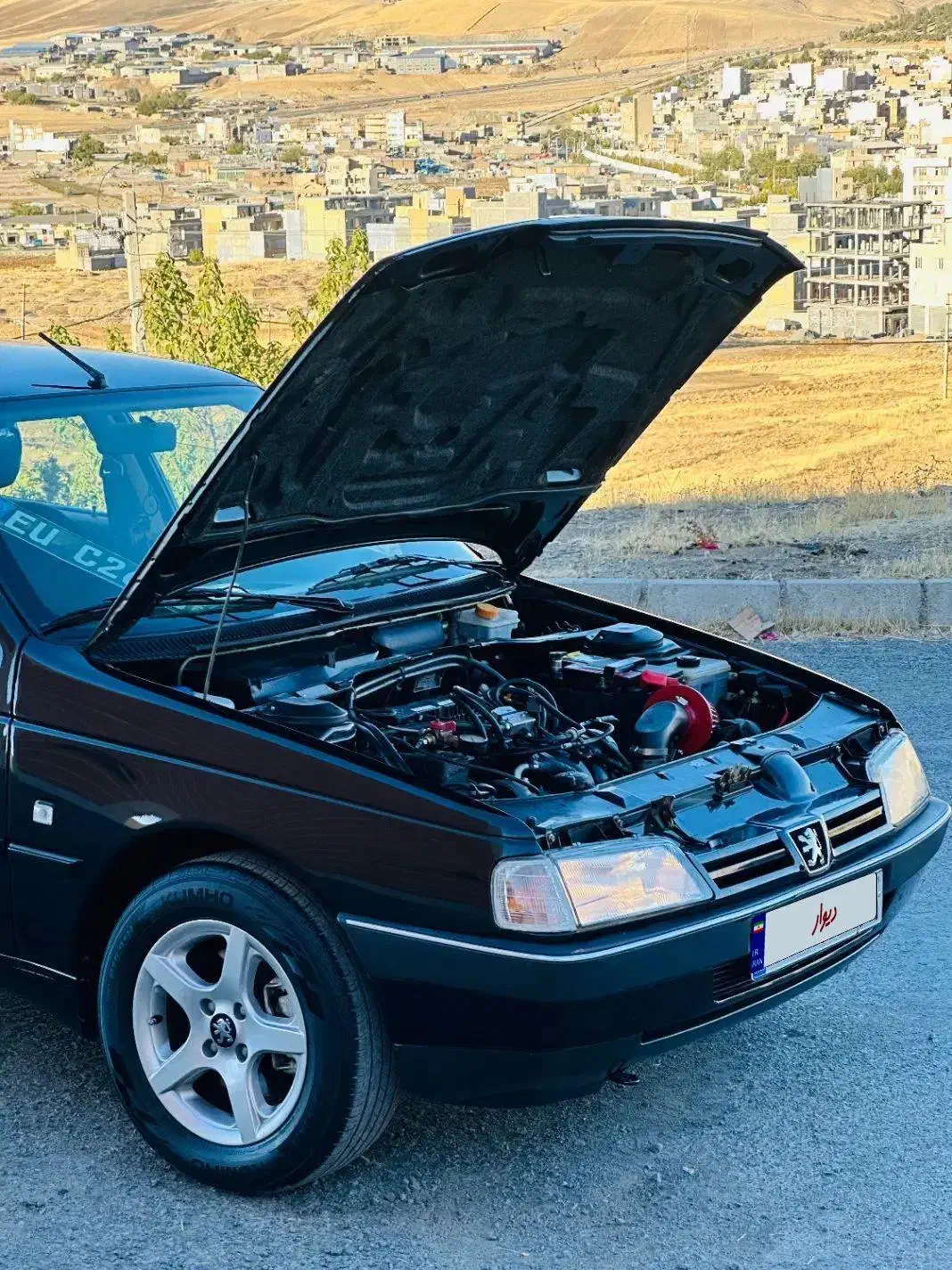 پژو 405 GLX - دوگانه سوز - 1386