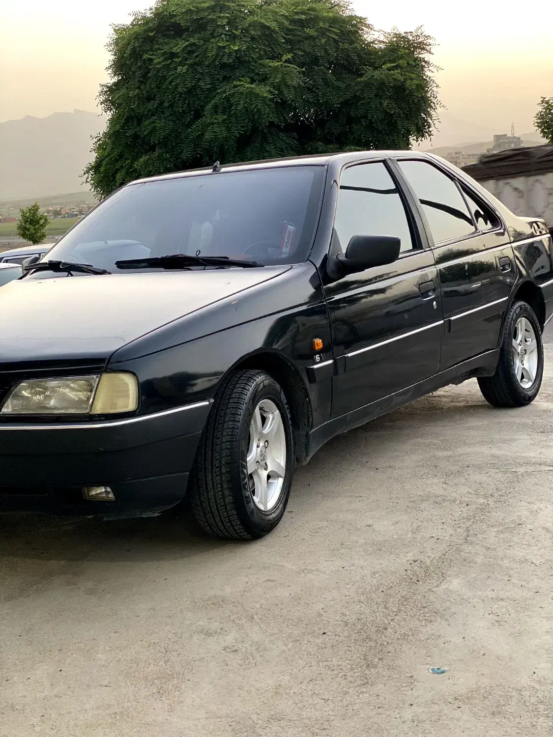 پژو 405 GLX - دوگانه سوز - 1385