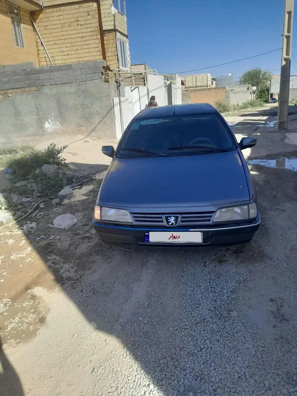پژو 405 GLX - دوگانه سوز - 1389
