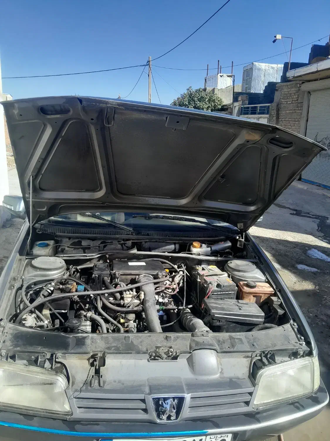 پژو 405 GLX - دوگانه سوز - 1389