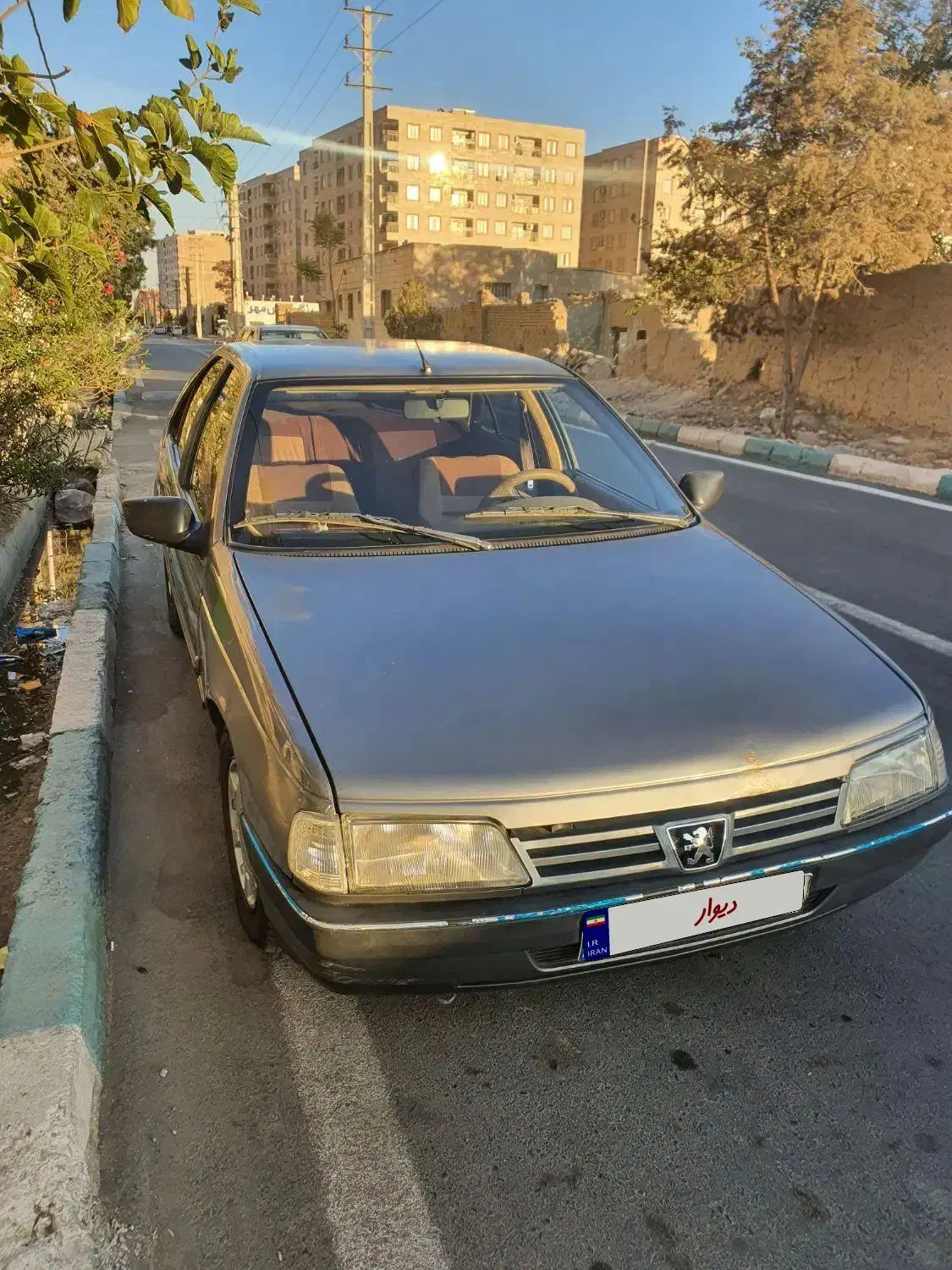 پژو 405 GLX - دوگانه سوز - 1392