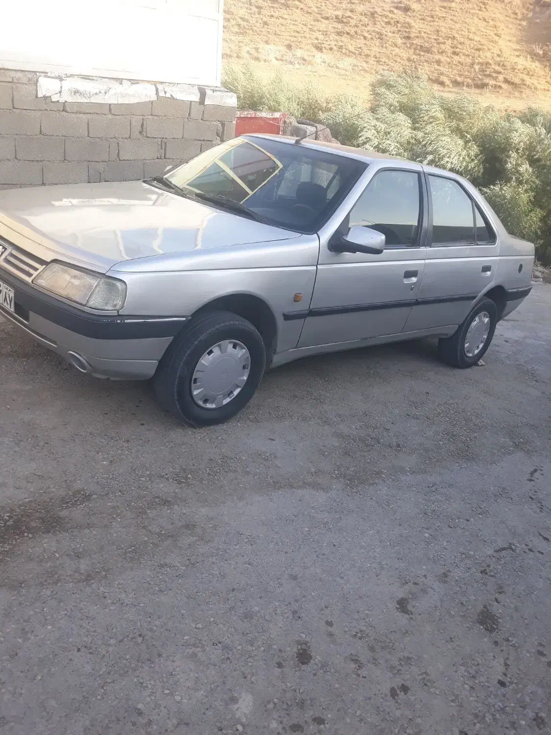 پژو 405 GLX - دوگانه سوز - 1383
