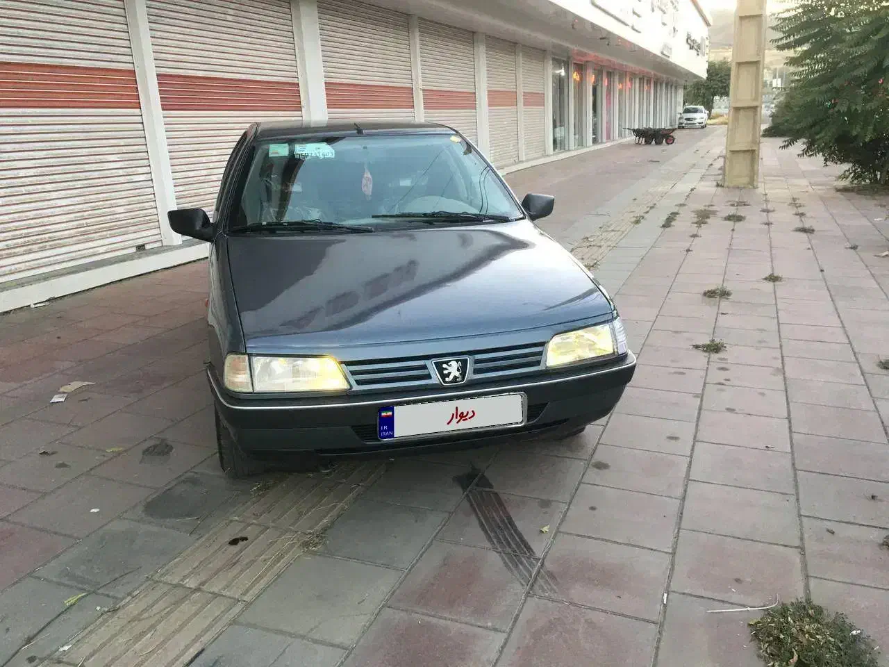 پژو 405 GLX - دوگانه سوز - 1393