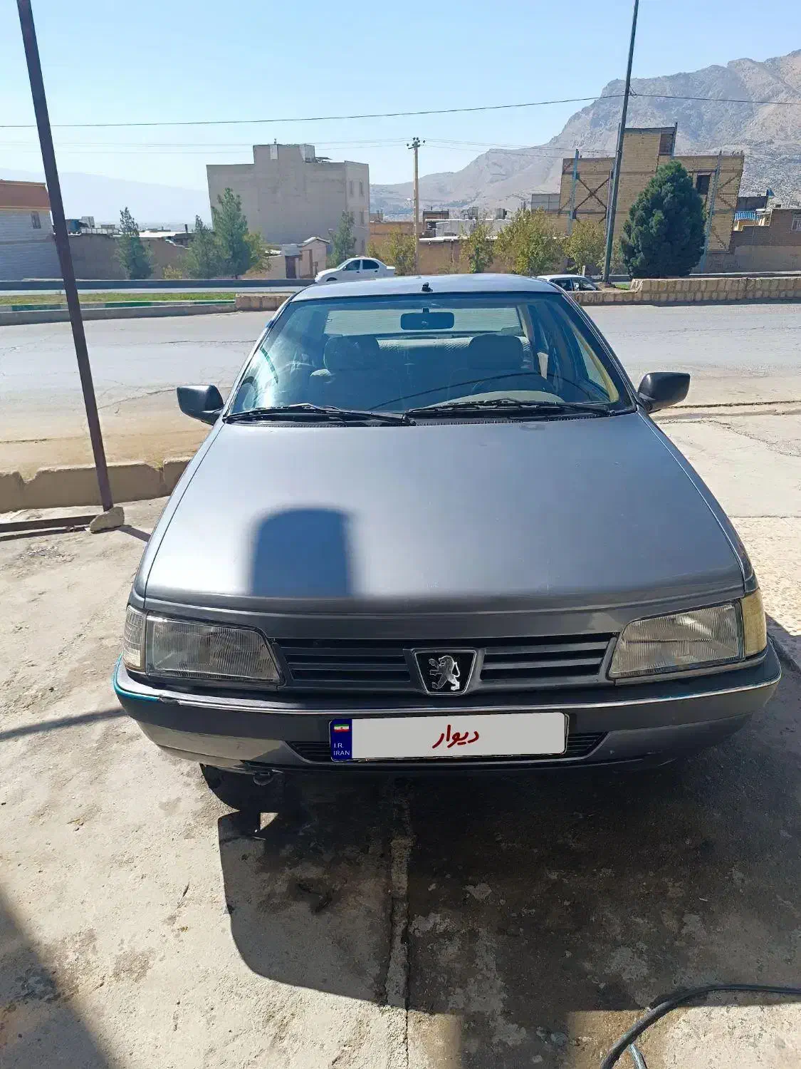 پژو 405 GLX - دوگانه سوز - 1390