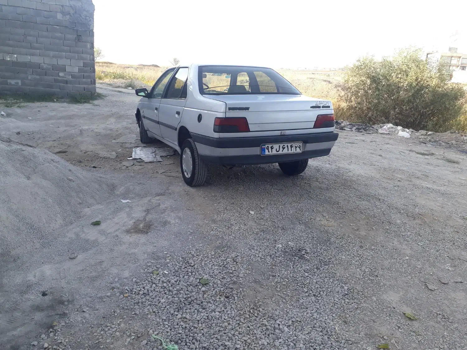 پژو 405 GLX - دوگانه سوز - 1390