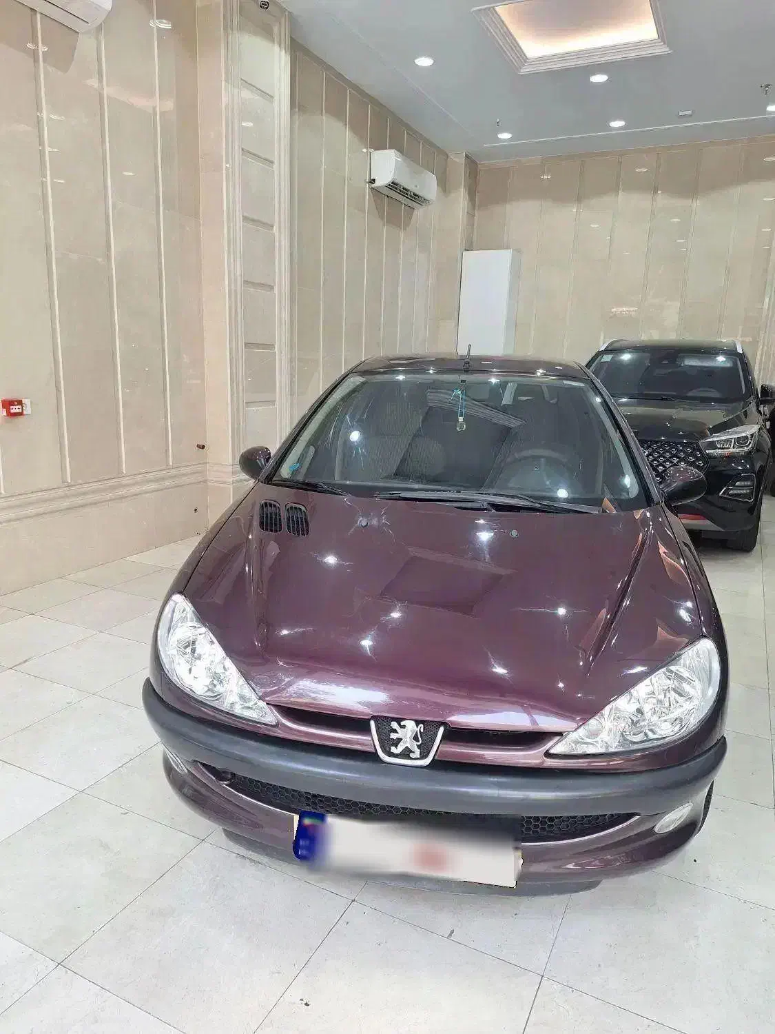 پژو ۲۰۶ صندوق دار v8 - 1395