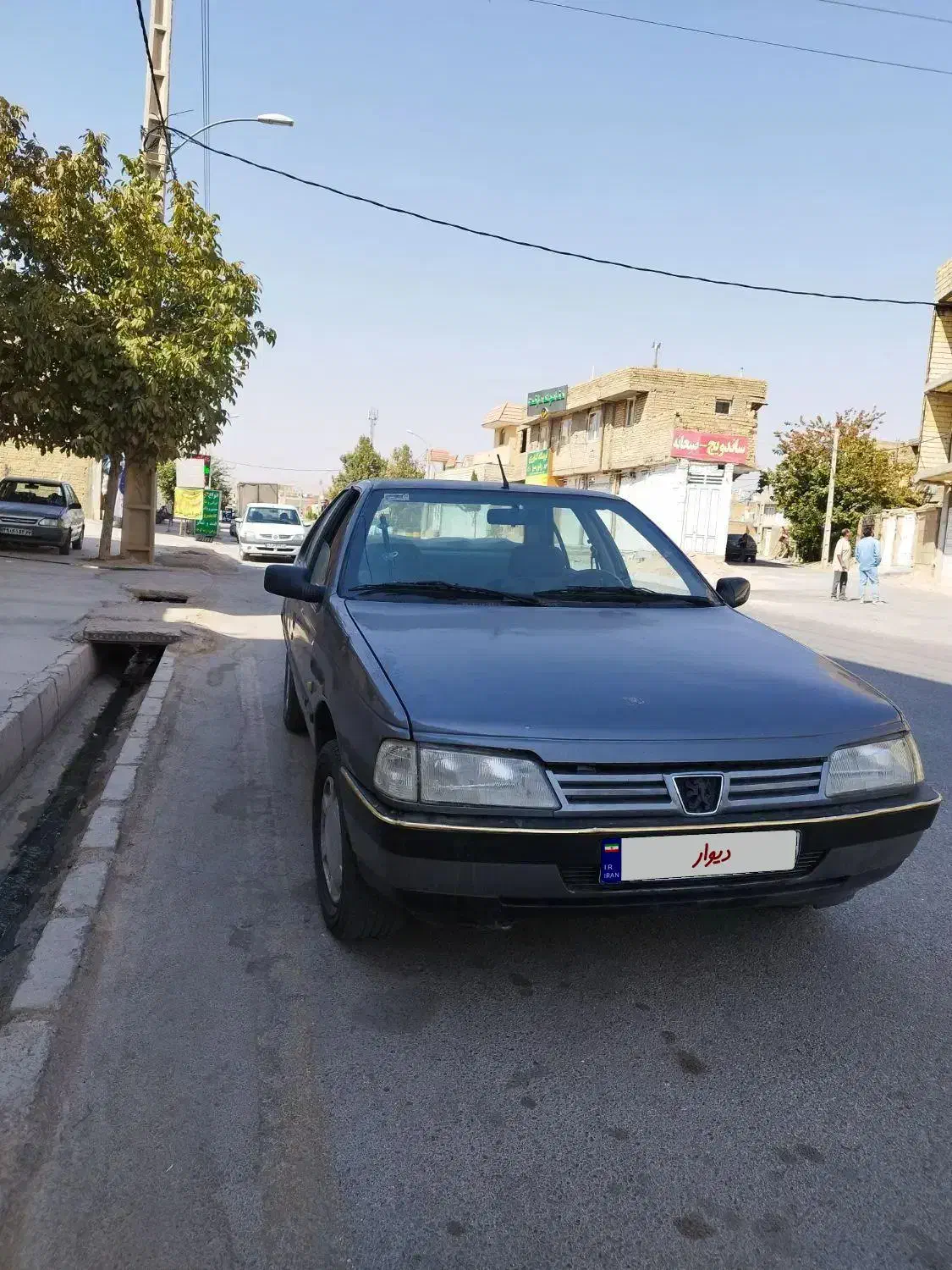 پژو 405 GLX - دوگانه سوز - 1390