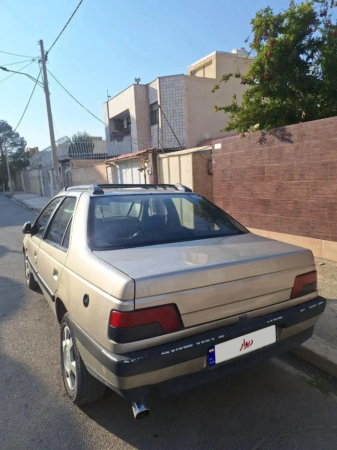 پژو 405 GLX - دوگانه سوز - 1386