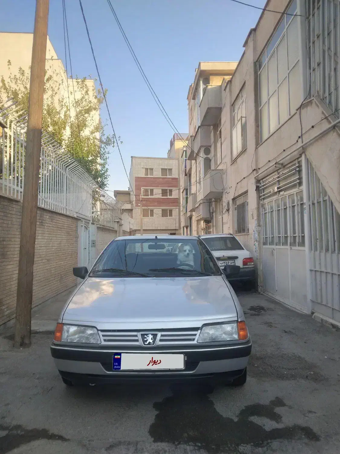 پژو 405 GLX - دوگانه سوز - 1389