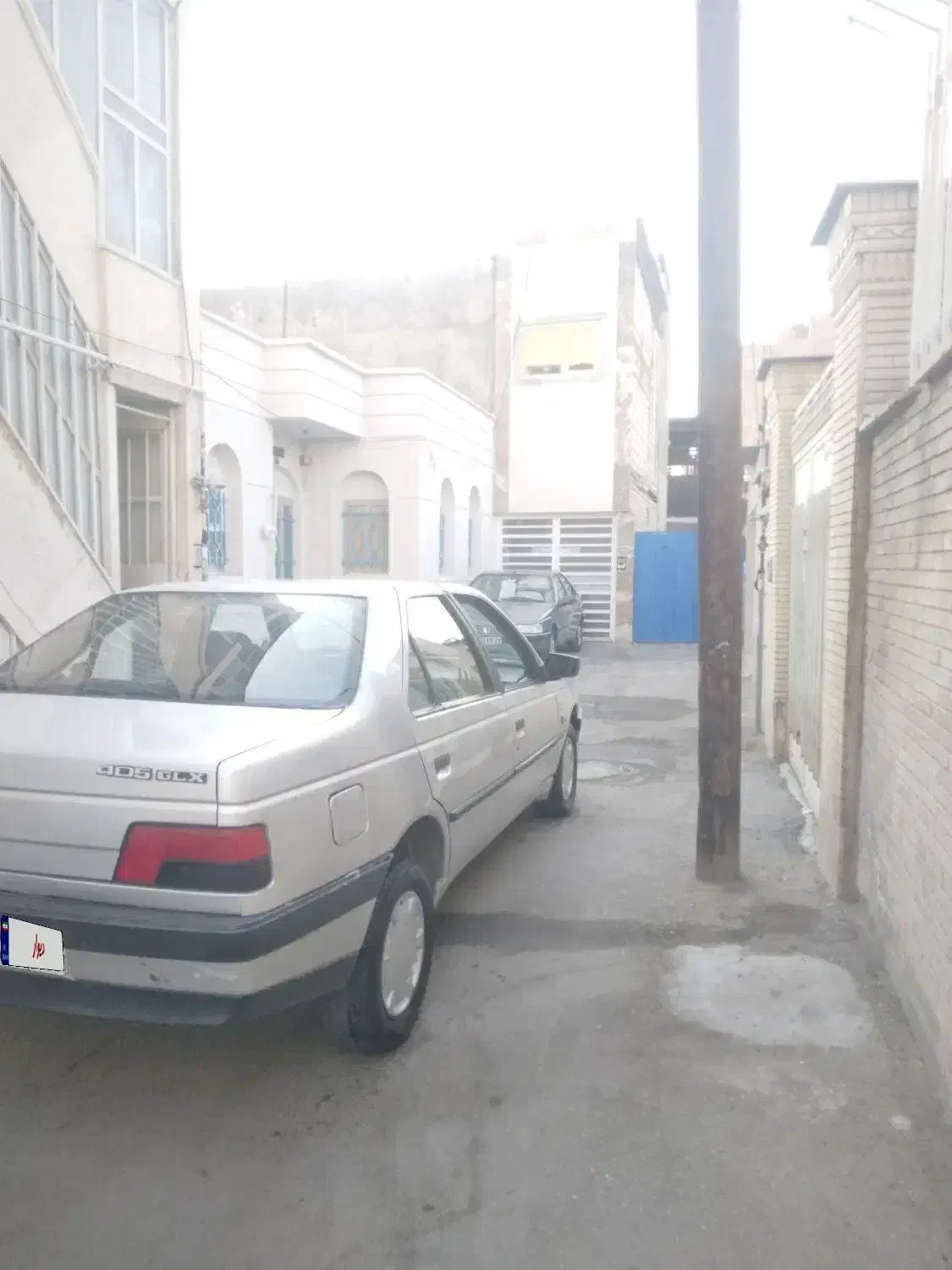 پژو 405 GLX - دوگانه سوز - 1389