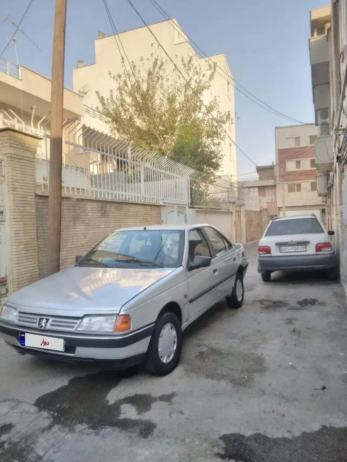 پژو 405 GLX - دوگانه سوز - 1389