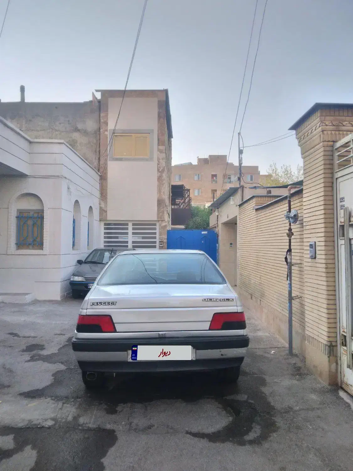 پژو 405 GLX - دوگانه سوز - 1389