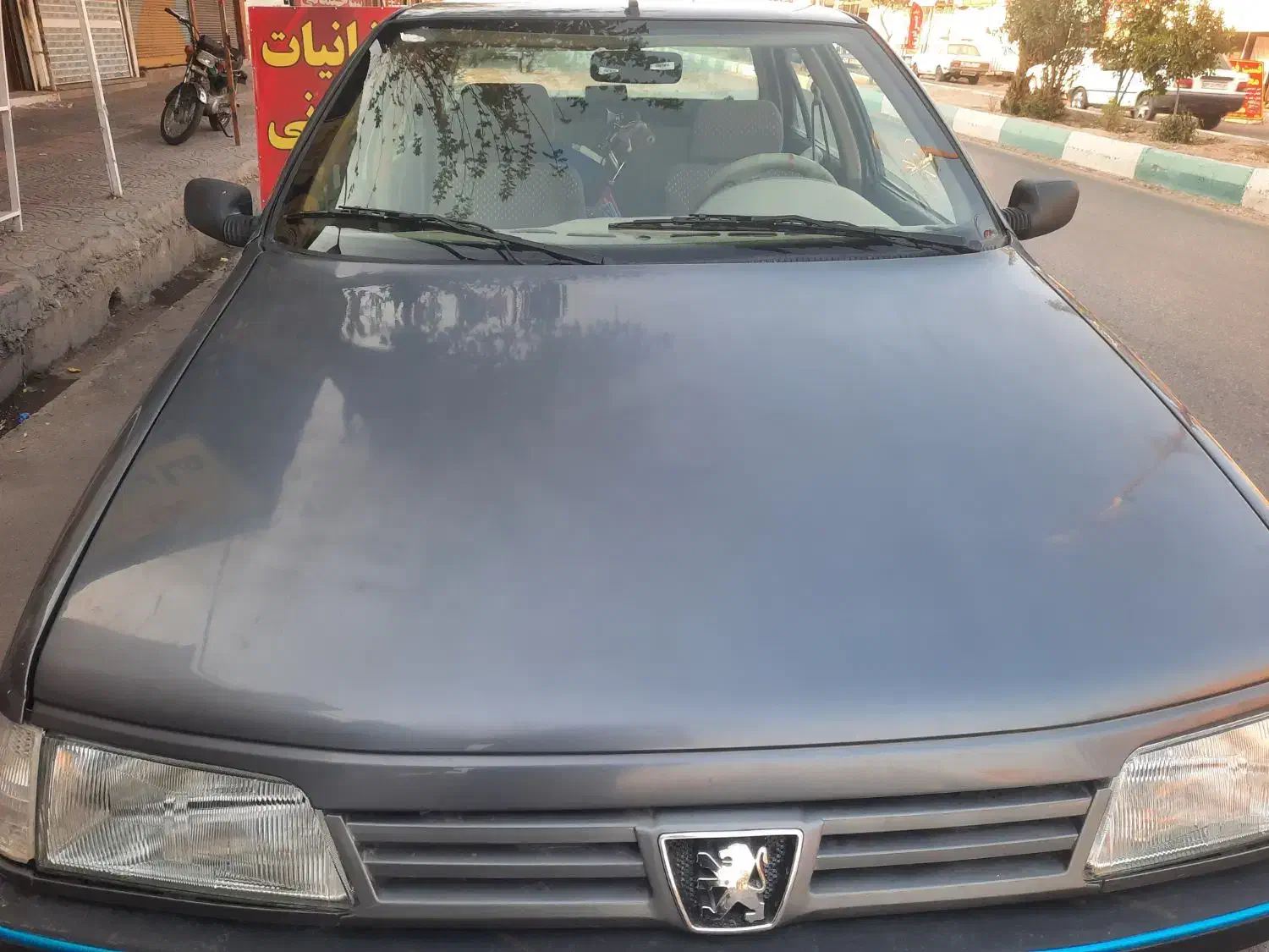 پژو 405 GL - دوگانه سوز CNG - 1394