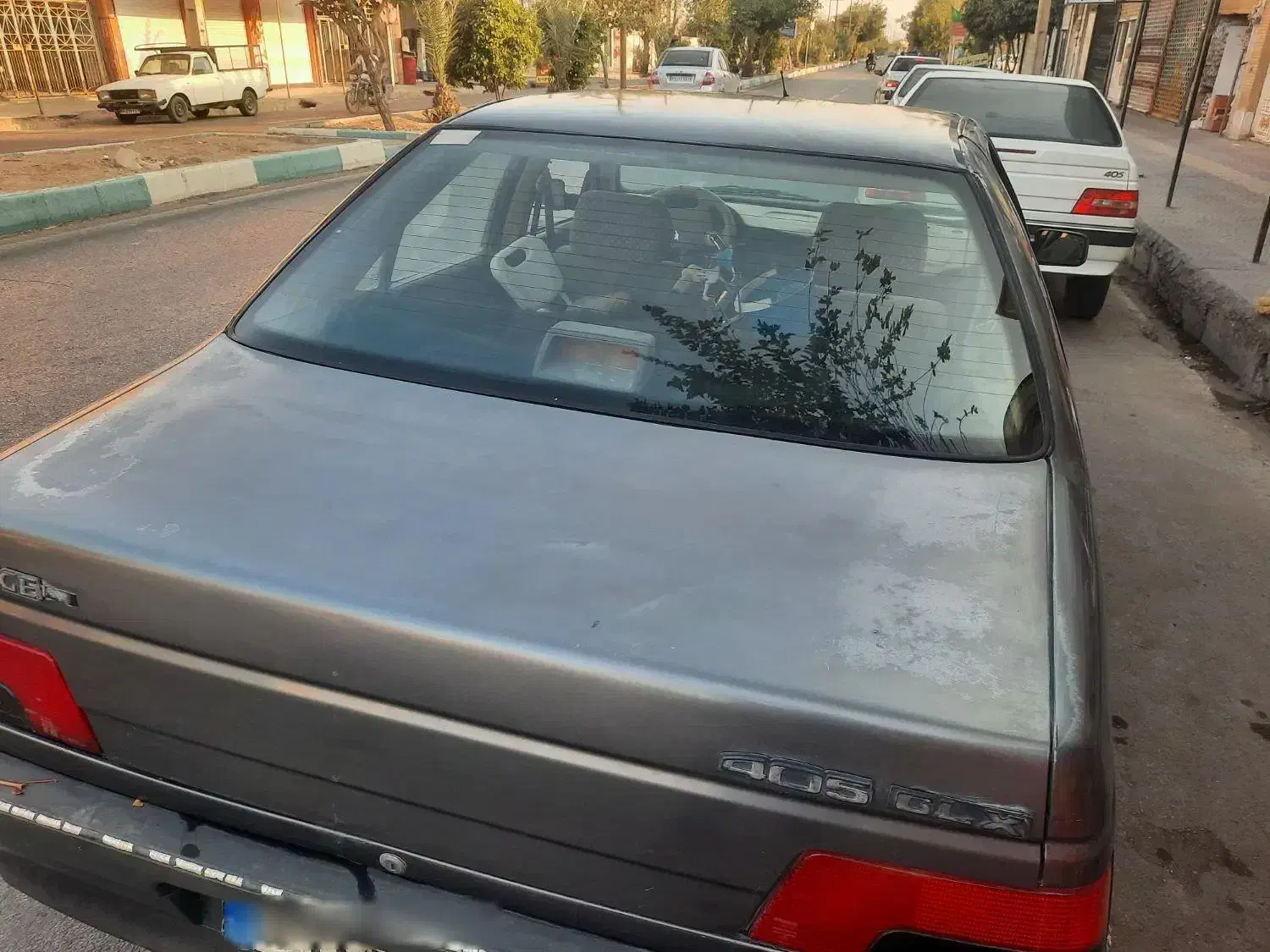 پژو 405 GL - دوگانه سوز CNG - 1394