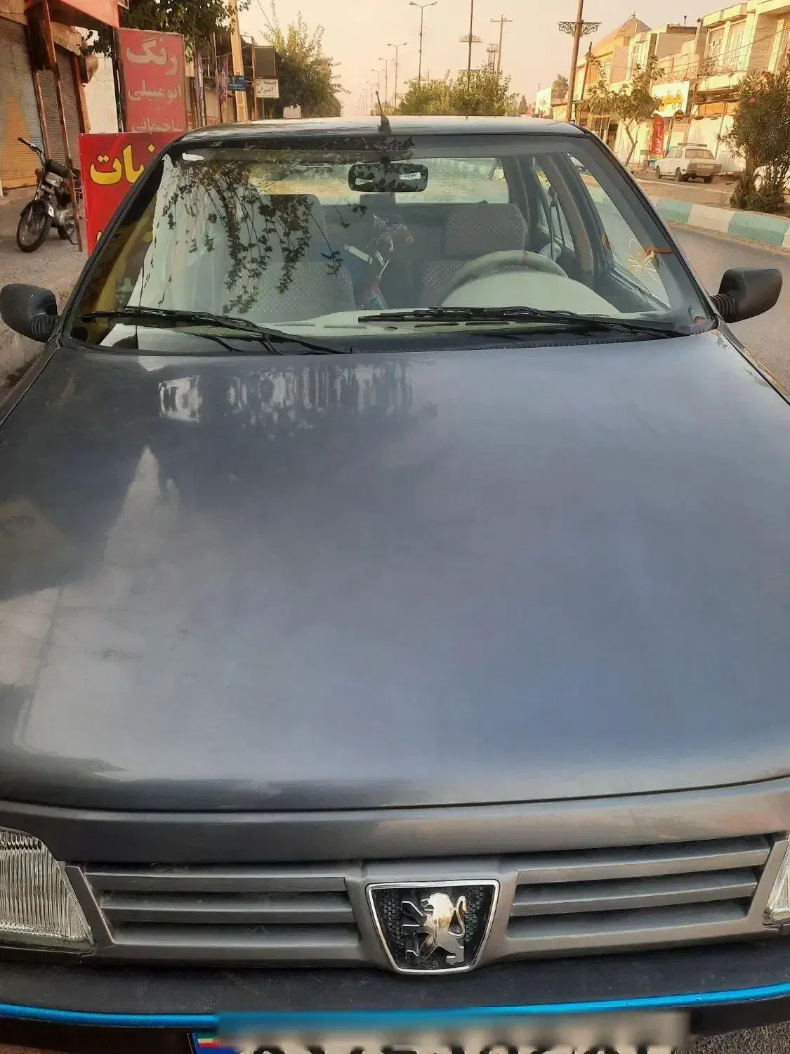 پژو 405 GL - دوگانه سوز CNG - 1394