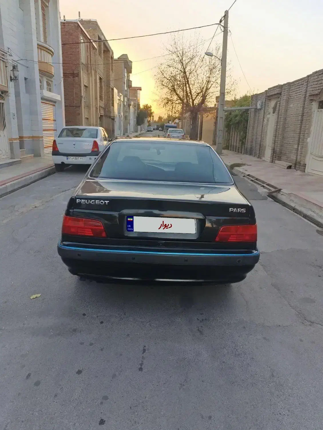 پژو پارس دوگانه سوز - 1391