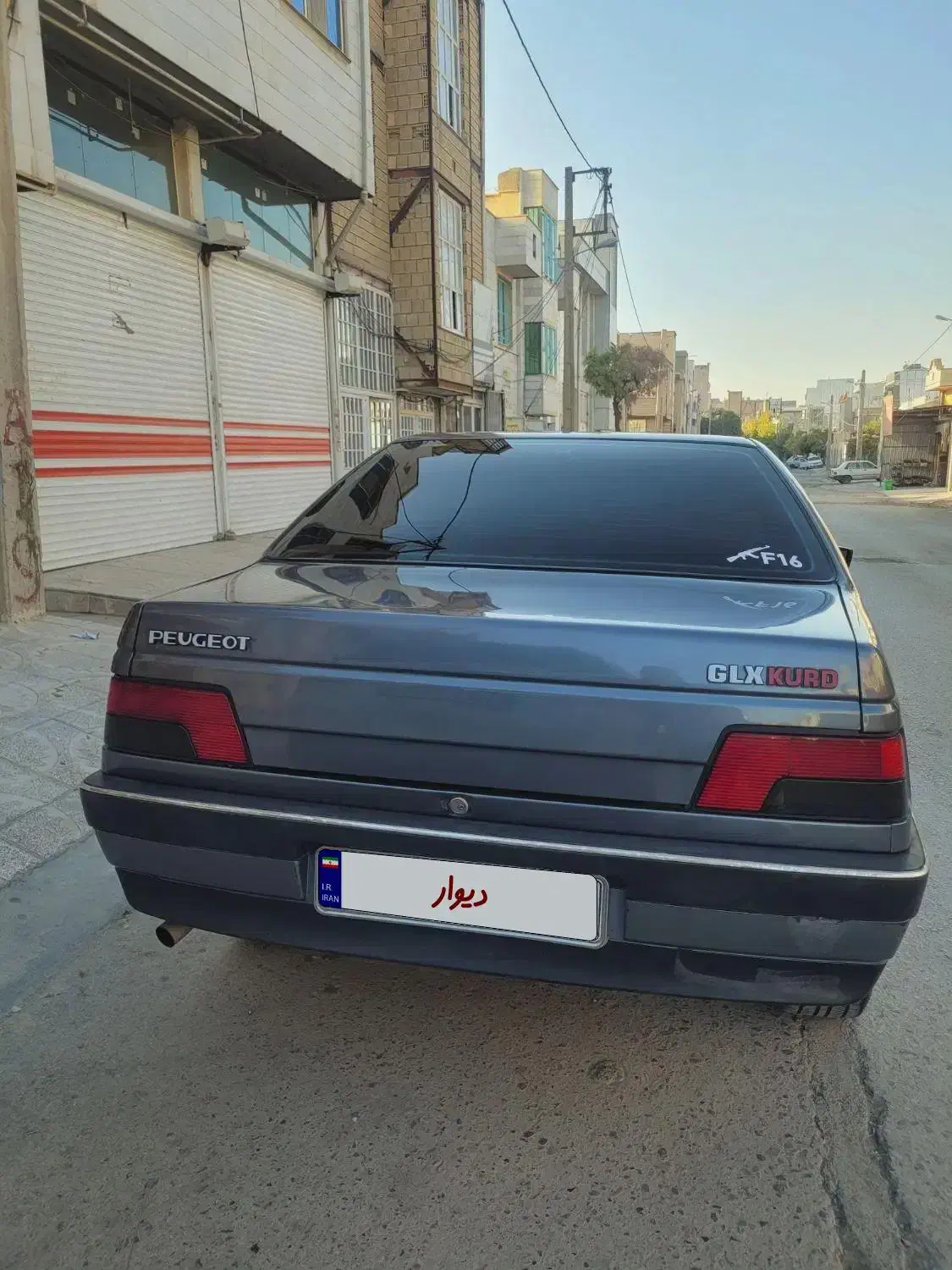 پژو 405 GLX - دوگانه سوز - 1394