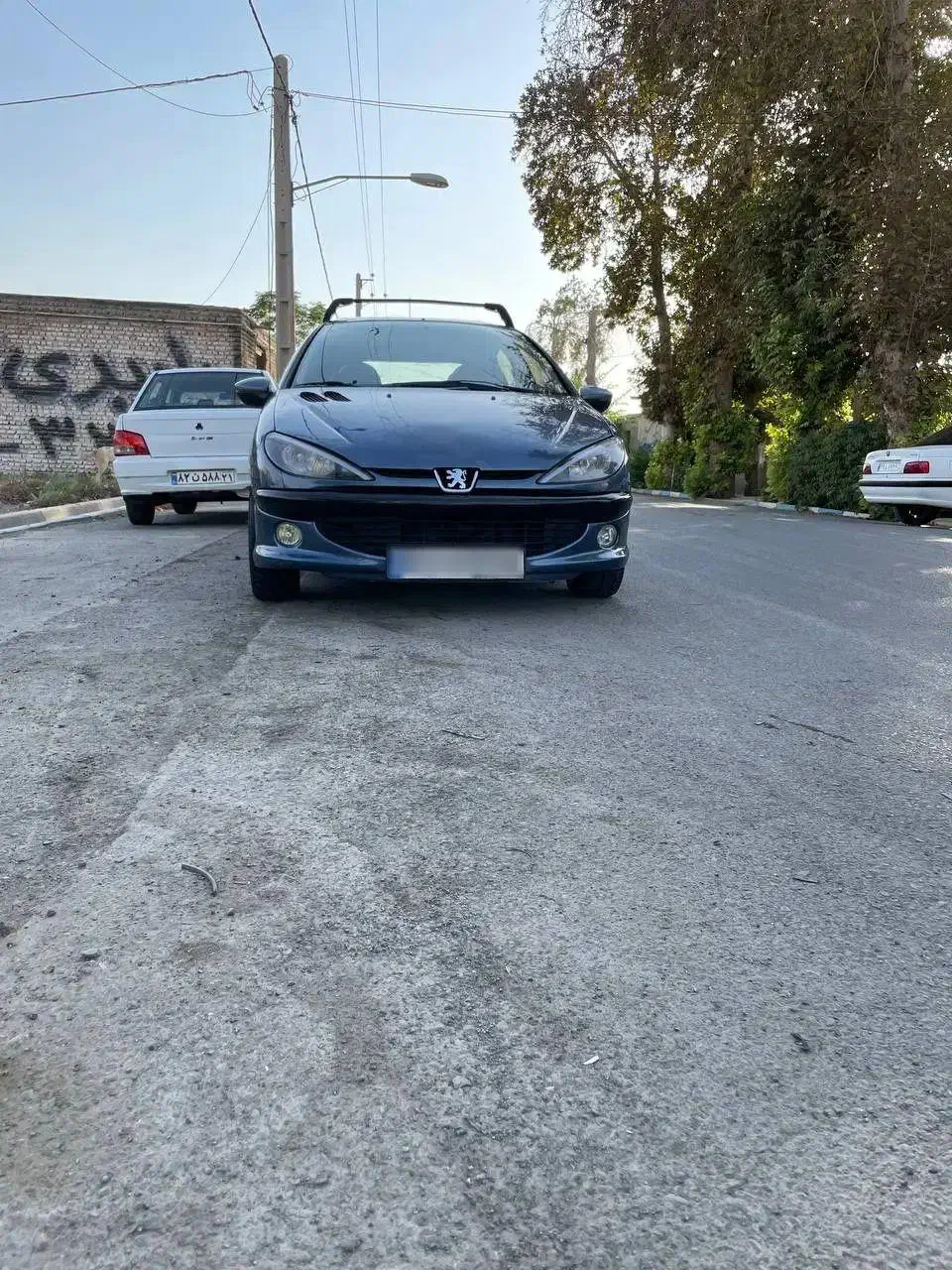 پژو 206 تیپ 5 - 1392