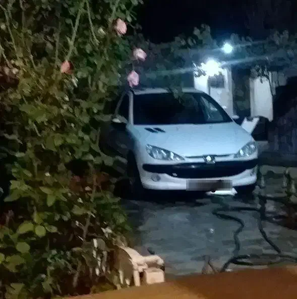 خودرو پژو، ۲۰۶ صندوق دار آگهی ann_20771121