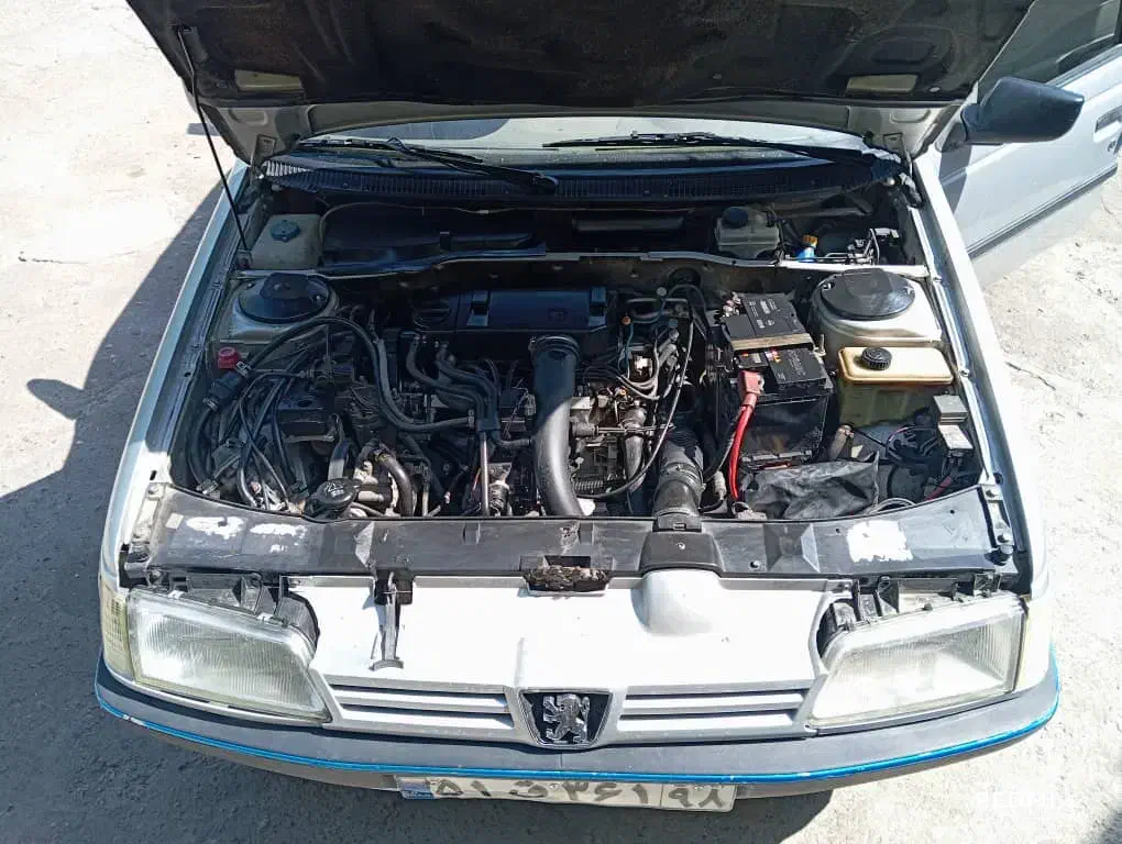 پژو 405 GLX - دوگانه سوز - 1396