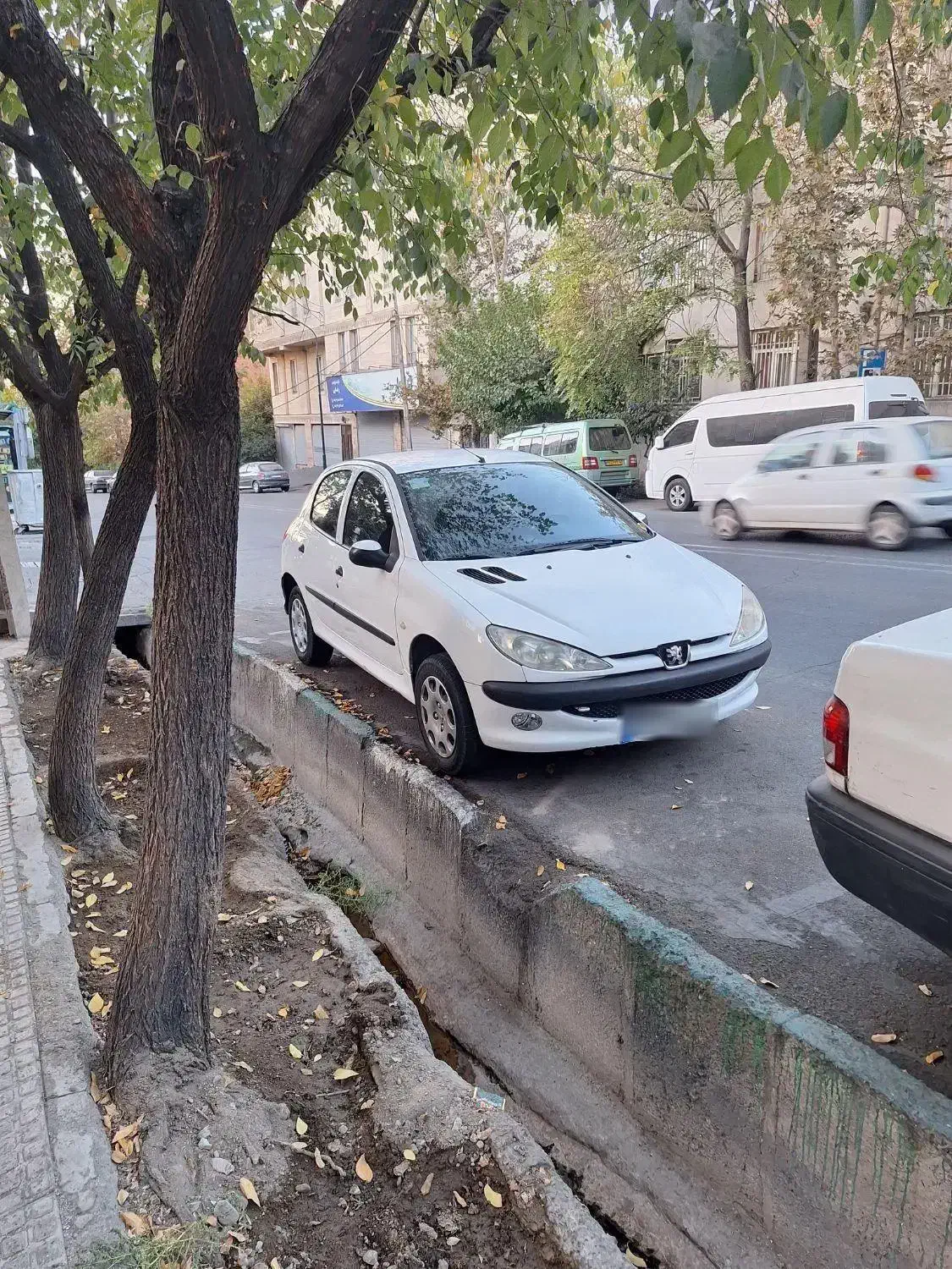 پژو 206 تیپ 2 - 1391