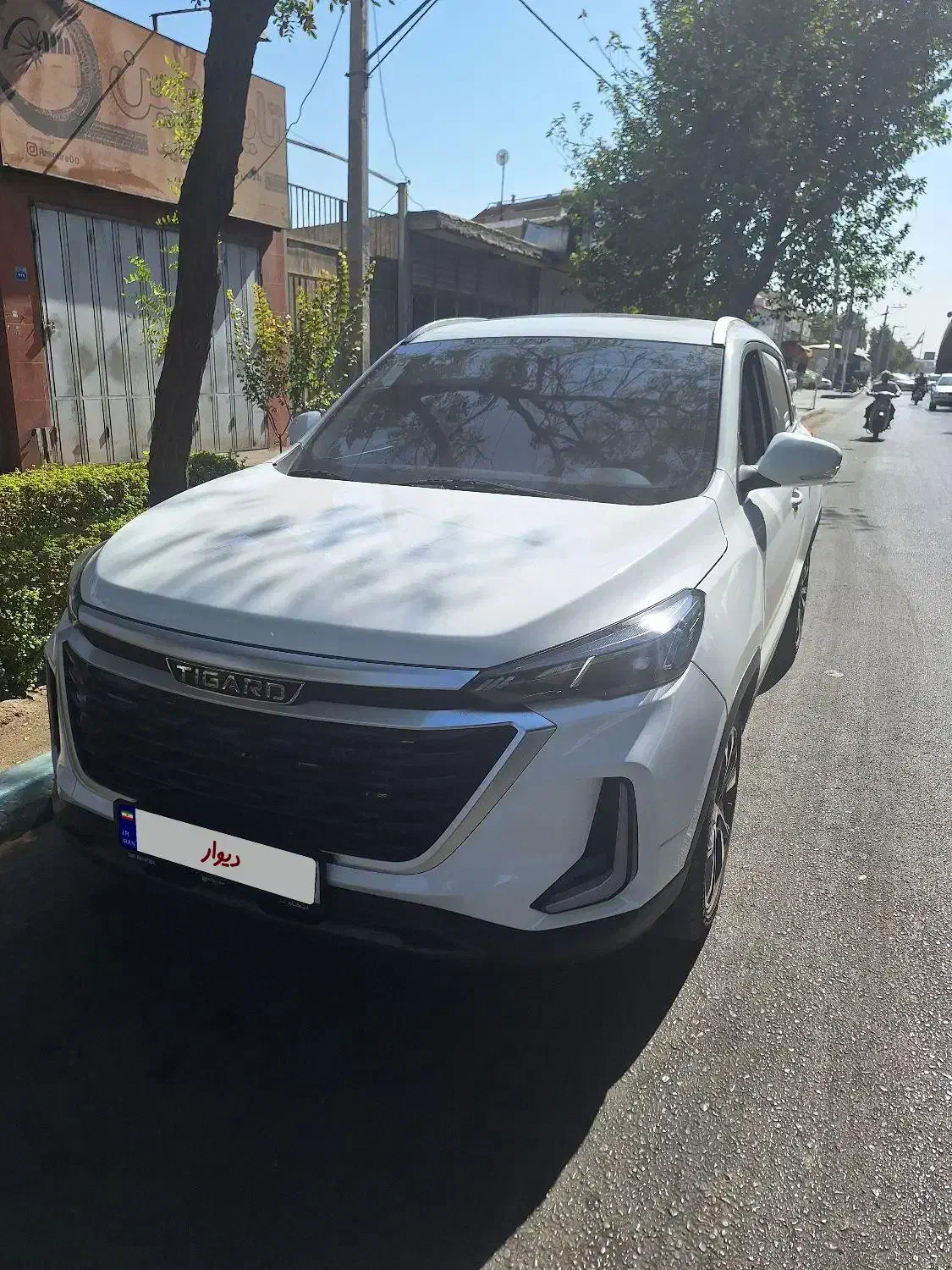 تیگارد X35 ساده - 1403