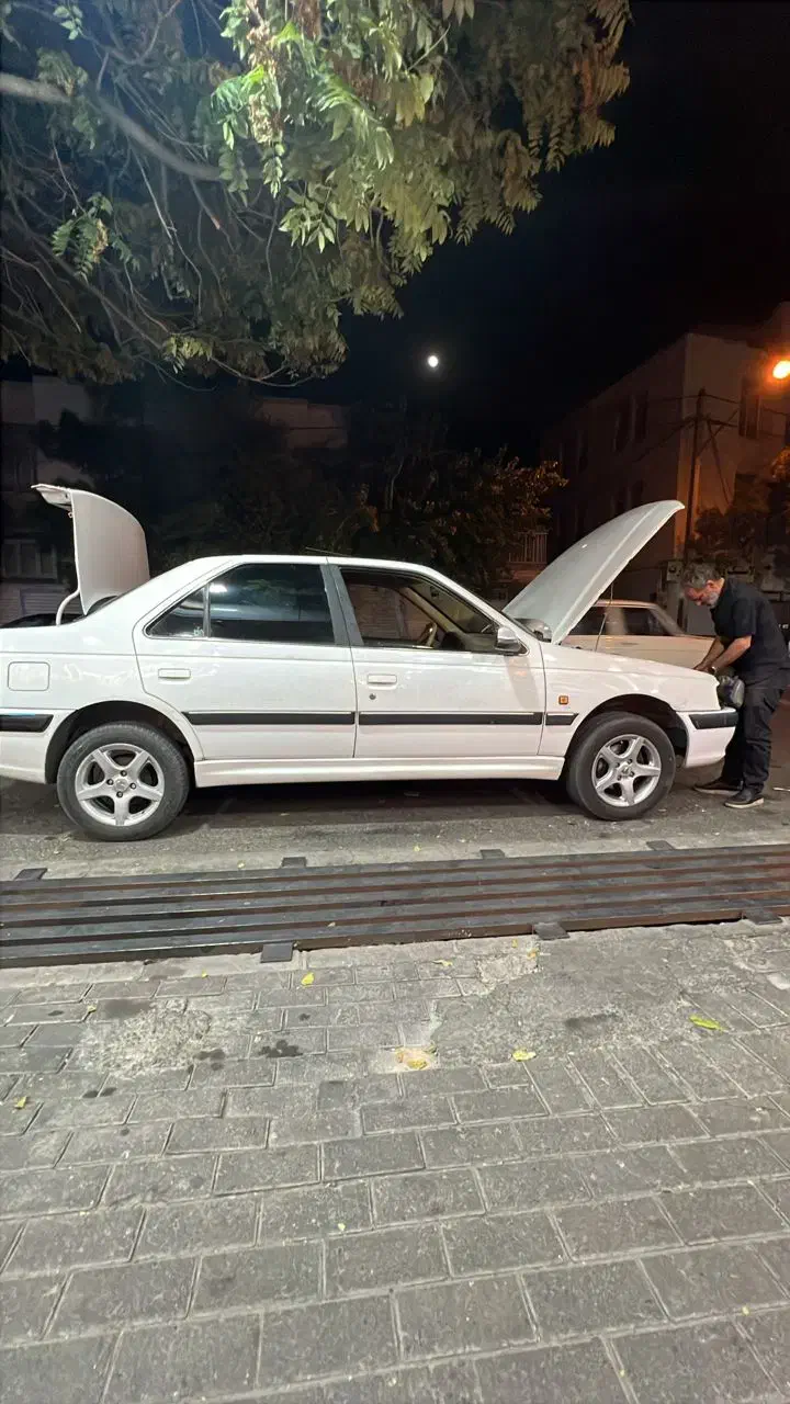 پژو پارس ELX-XU7P سفارشی - 1392