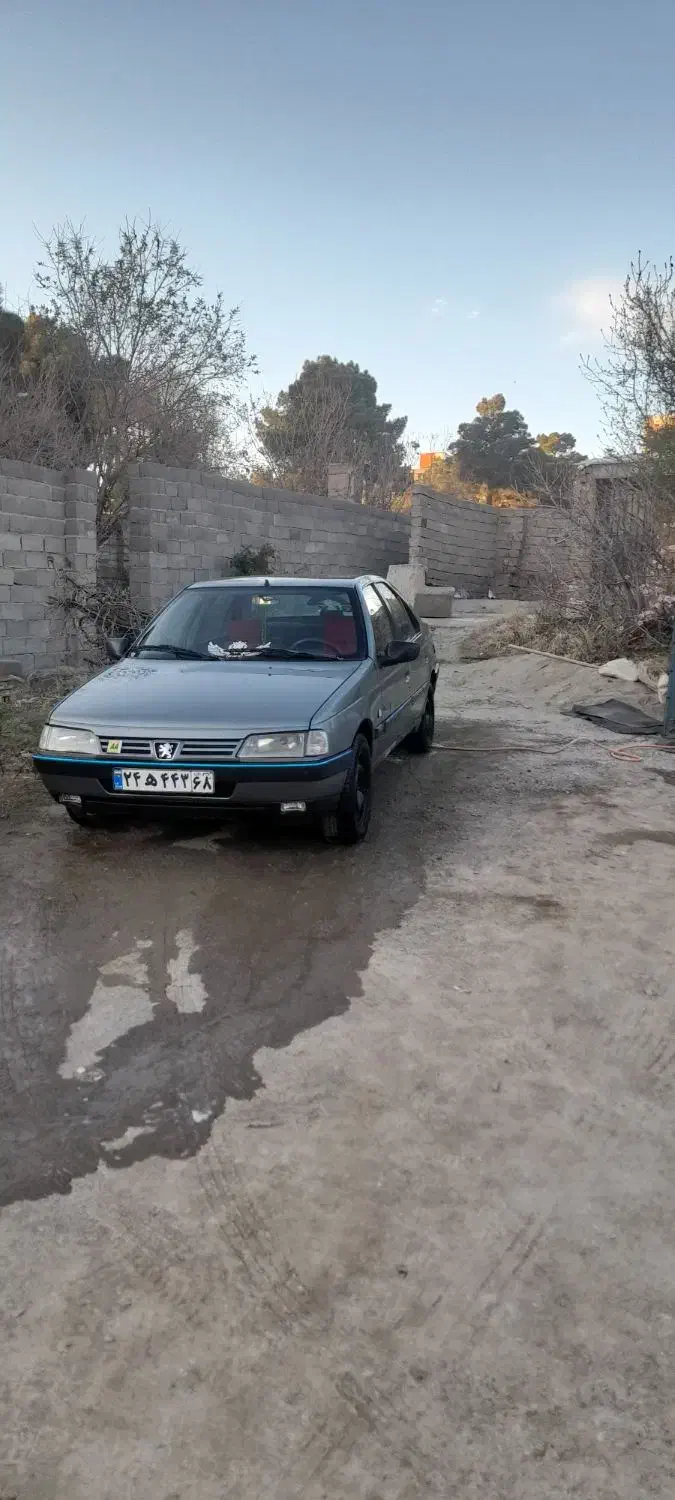 پژو 405 GLX - دوگانه سوز - 1389