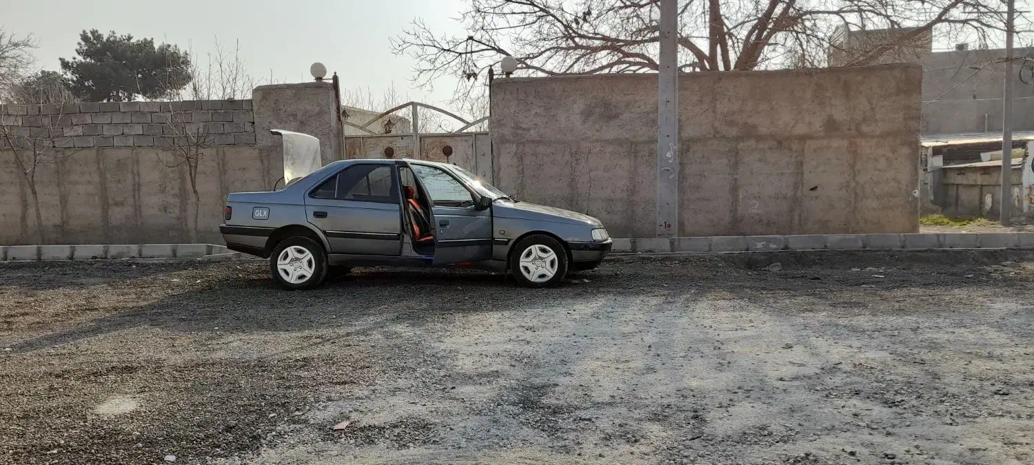 پژو 405 GLX - دوگانه سوز - 1389