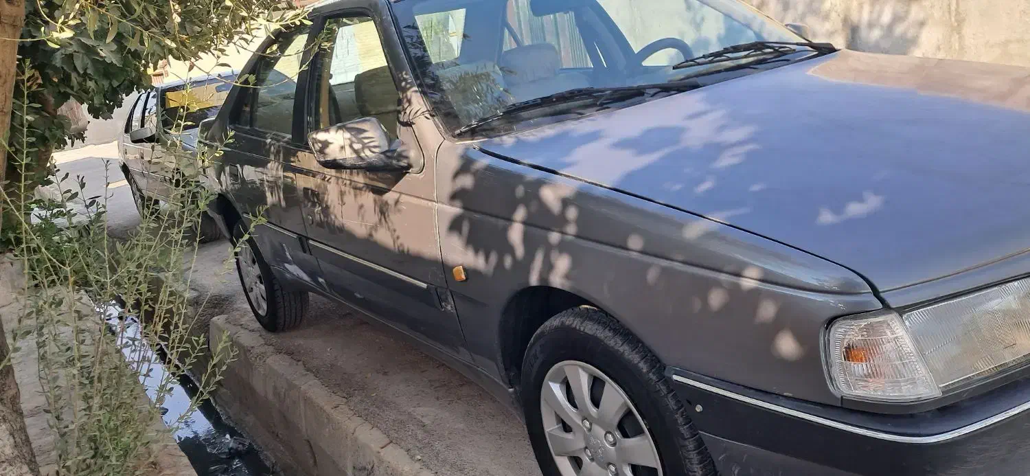 پژو 405 GLX - دوگانه سوز - 1389
